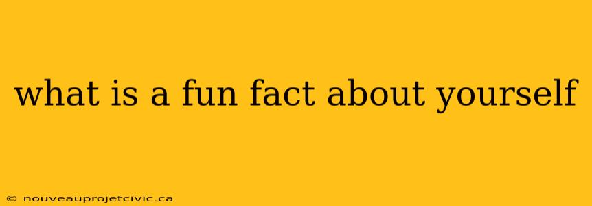 what is a fun fact about yourself