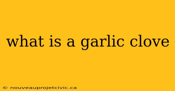 what is a garlic clove