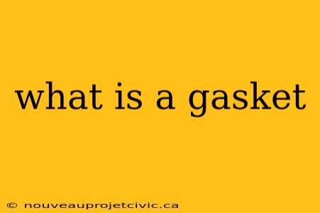 what is a gasket