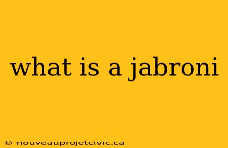 what is a jabroni