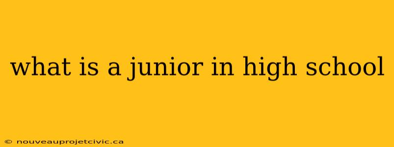 what is a junior in high school