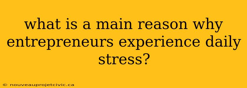 what is a main reason why entrepreneurs experience daily stress?