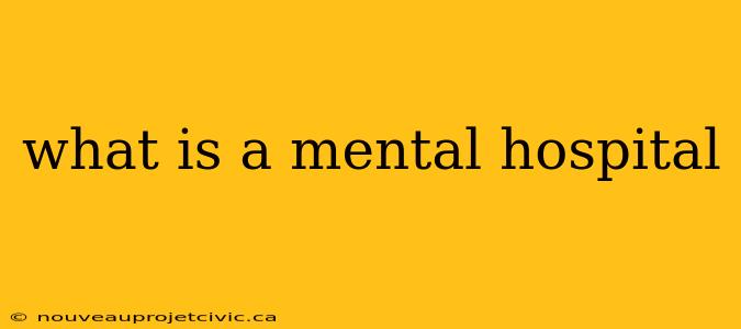 what is a mental hospital