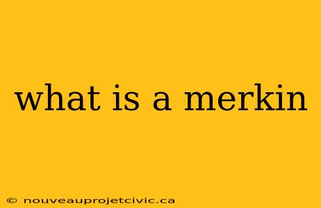 what is a merkin