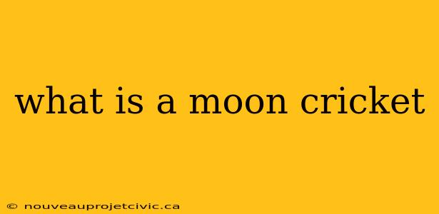 what is a moon cricket