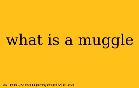 what is a muggle