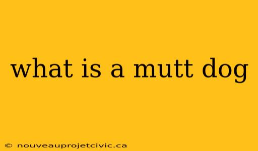 what is a mutt dog