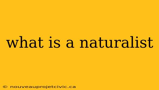 what is a naturalist