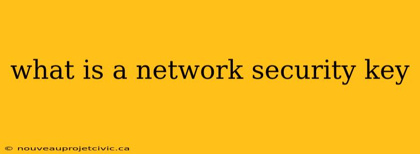 what is a network security key