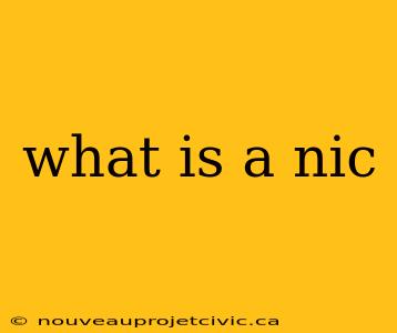 what is a nic