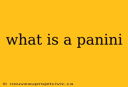 what is a panini