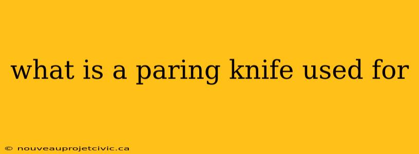 what is a paring knife used for