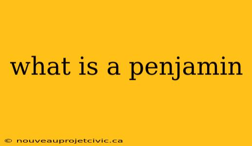 what is a penjamin