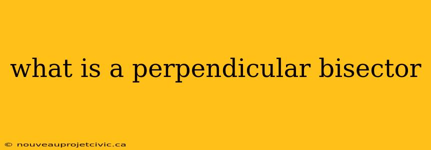 what is a perpendicular bisector