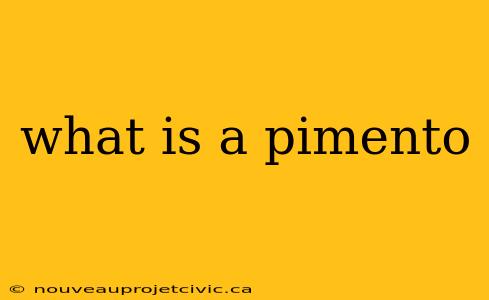 what is a pimento