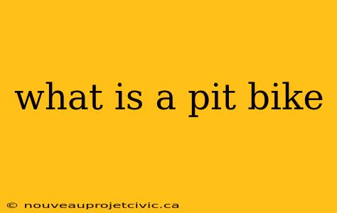 what is a pit bike