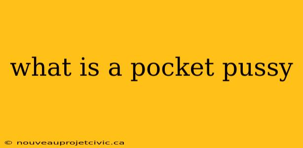 what is a pocket pussy