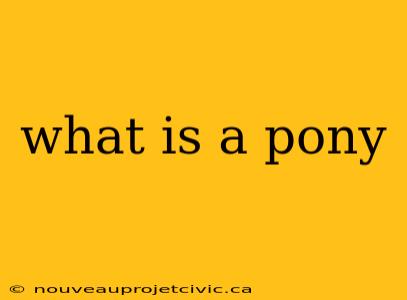 what is a pony