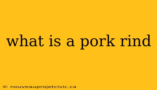 what is a pork rind