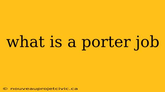 what is a porter job