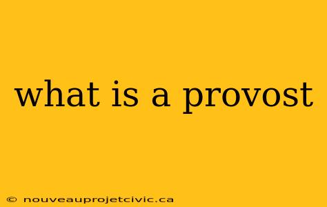 what is a provost