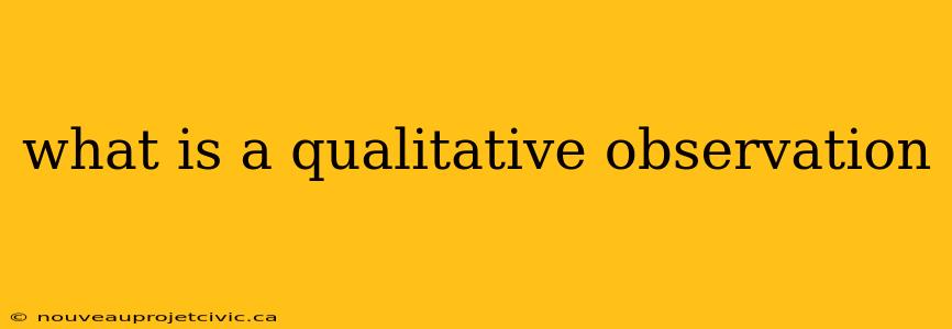 what is a qualitative observation