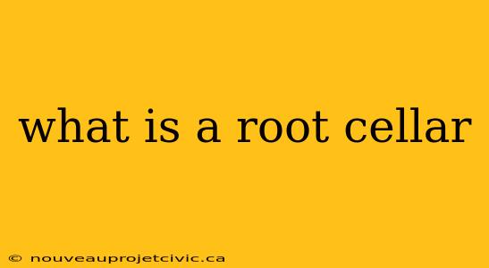 what is a root cellar