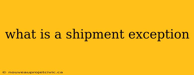 what is a shipment exception