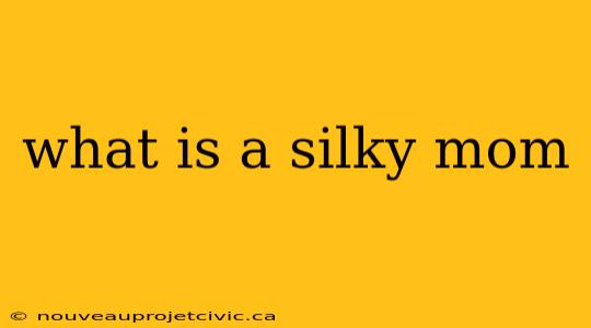 what is a silky mom