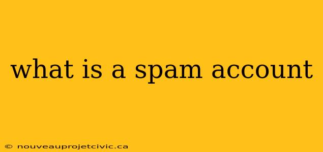 what is a spam account