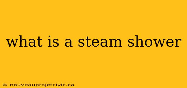 what is a steam shower