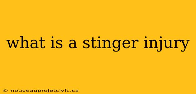 what is a stinger injury