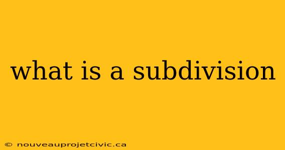 what is a subdivision