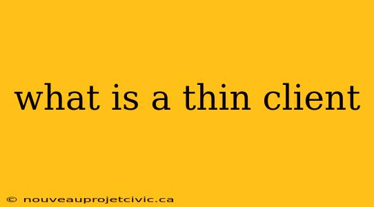 what is a thin client