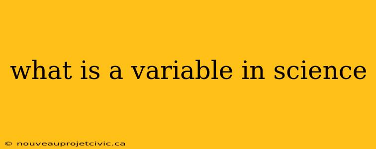 what is a variable in science