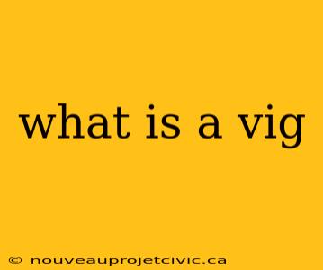 what is a vig