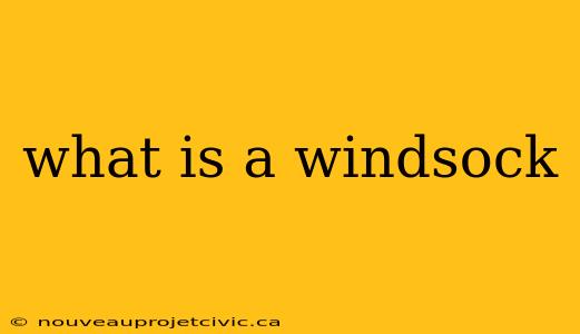 what is a windsock