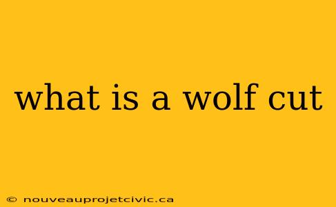 what is a wolf cut