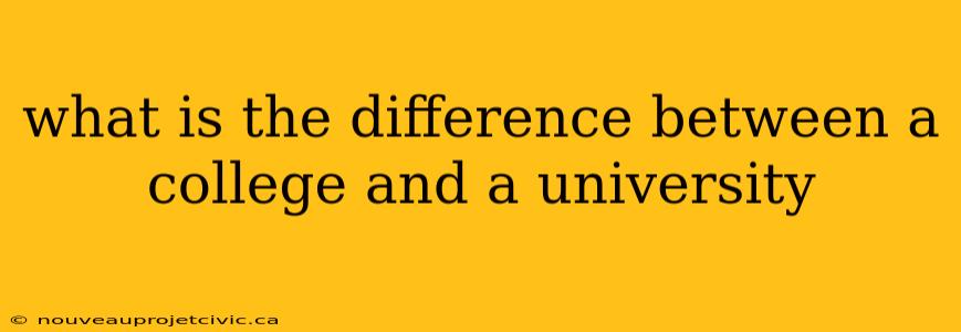 what is the difference between a college and a university