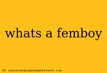 whats a femboy