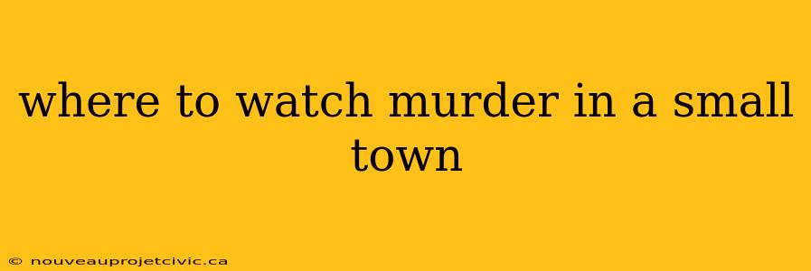 where to watch murder in a small town