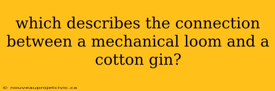 which describes the connection between a mechanical loom and a cotton gin?