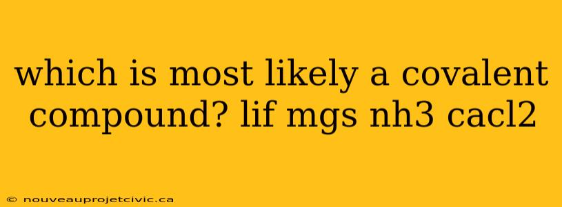 which is most likely a covalent compound? lif mgs nh3 cacl2