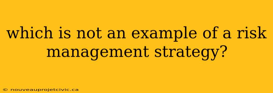 which is not an example of a risk management strategy?