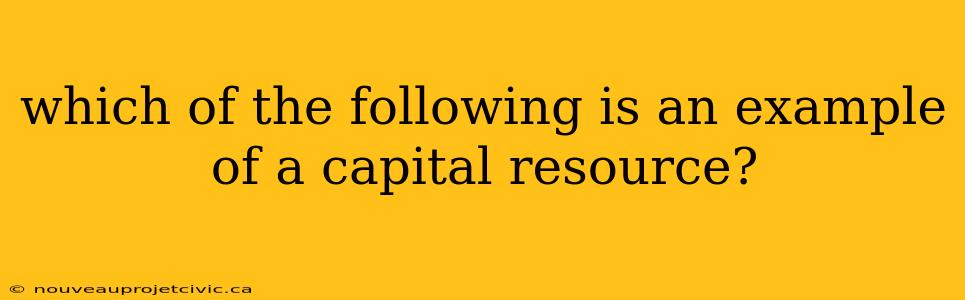 which of the following is an example of a capital resource?