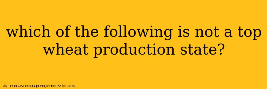 which of the following is not a top wheat production state?