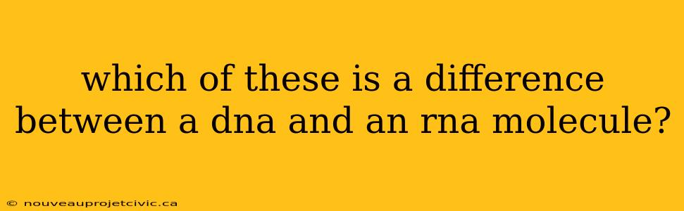 which of these is a difference between a dna and an rna molecule?