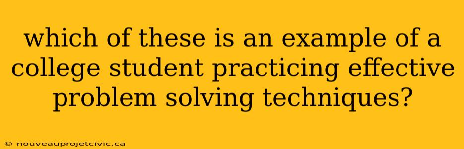 which of these is an example of a college student practicing effective problem solving techniques?