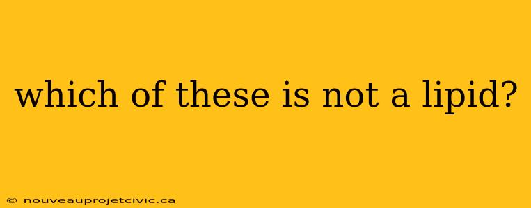 which of these is not a lipid?