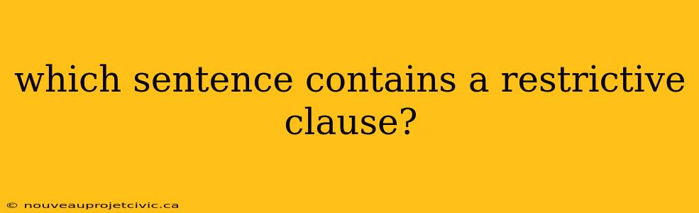 which sentence contains a restrictive clause?